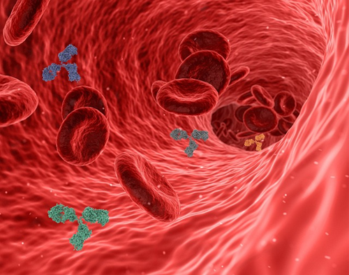 Diabetes Typ 2 und das Immunsystem - Die komplexe Beziehung